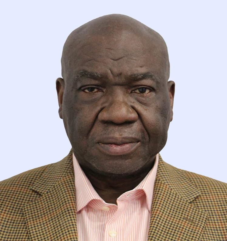 Photo de Luc MEMELIWANDO NGOLU